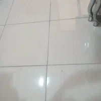 اجاره منزل محدوده شهرک