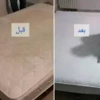 شستشوی مبل وخوشخواب* پاکیزان*/باقیمت مناسب|خدمات نظافت|رشت, دیلمان|دیوار