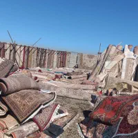 قالیشویی و مبل شویی ایران گستر|خدمات نظافت|هیر, |دیوار