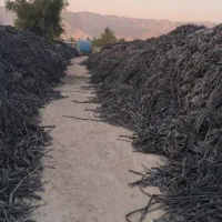 تیپ و ضایعات دستگاه های کشاورزی و صنعتی