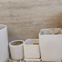 تعدادی گلدان