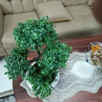 گل مصنوعی بونسای