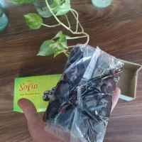 رطب دانه درشت بم نوبار|خوردنی و آشامیدنی|قم, باجک دو|دیوار