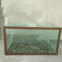 اکواریوم|ماهی|تربت‌حیدریه, بالا ولایت|دیوار