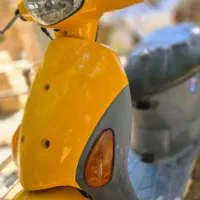 پاکشتی نقد و شرایطی