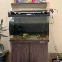 آکواریوم شیشه خم خارجی