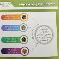 بذر یونجه پوشش دار
