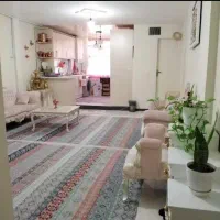 فروش ۴۸متر خوش‌نقشه/ساخت ۱۳۸۷/تهرانسر/سرمایه گذاری
