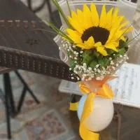 آموزش ساز سنتور برای خانم ها