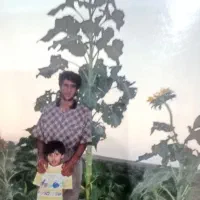 اجاره زمین کشاورزی/25 هکتار/چاه برقی/شهرستان سرخس|اجارهٔ دفتر صنعتی، کشاورزی، تجاری|مشهد, فرودگاه|دیوار