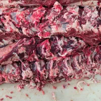 بیخص کارقصاب گوشت و بیخص کار و قصاب مرغ