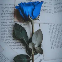 تدریس در منزل