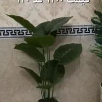 گل های مصنوعی|گل مصنوعی|بهارستان, |دیوار
