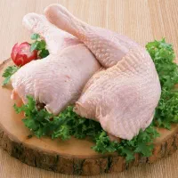 استخدام کارگر