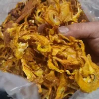 دستگاه میوه خشک کن تونلی  ۱۲۵۰ کیلویی|ماشین‌آلات صنعتی|شهرضا, |دیوار