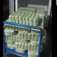 باقالی درجه یک