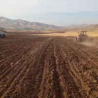 زمین کشاورزی مناسب باغ