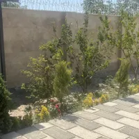 فروش خانه ویلایی ۶۰ متری ۱ خوابه در یافت‌آباد|فروش خانه و ویلا|تهران, یافت‌آباد|دیوار