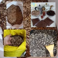 قهوه هسته خرما پودر جوانه گندم