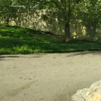 فروش باغ گردو درروستای چنارستان|فروش دفتر صنعتی، کشاورزی، تجاری|بروجرد, |دیوار