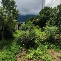 زمین مسکونی  360متر دنج ارام