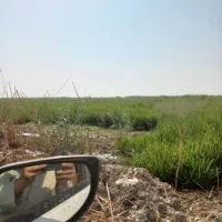 زمین کشاورزی درجاده شوشتر