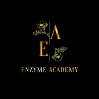 تحصیل در اروپا صد در صد رایگان