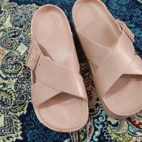 دمپایی تدی|کیف، کفش، کمربند|قم, شهر قائم|دیوار