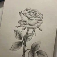 آموزش نقاشی کودک و نوجوان و بزرگسال|خدمات آموزشی|سرپل ذهاب, |دیوار