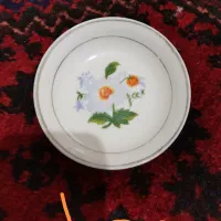 نعلبکی قدیمی|کلکسیون اشیاء عتیقه|شیراز, آزادگان|دیوار