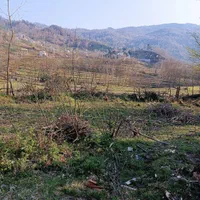 فروش زمین ۶۸۰ متری ویوی متفاوت گمل لاهیجان|فروش زمین و ملک کلنگی|لاهیجان, لیل|دیوار