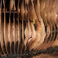 جوشکاری حرفه ای مبدل آبگرمکن دیواری بوتان(جوشکاری)|آبگرمکن، پکیج، شوفاژ|تهران, افسریه شمالی|دیوار