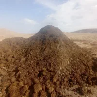 فروش کود حیوانی