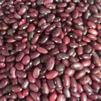 لوبیا قرمز|خوردنی و آشامیدنی|شیراز, بازار|دیوار