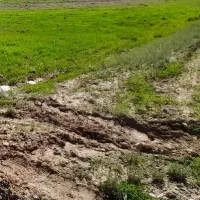 زمین فاز سه