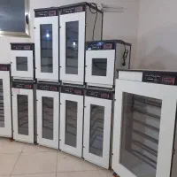 دستگاه  اسـتاندار() یکســال گارانــتی/جوجه کشی