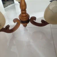 دوعددلوسترچوبی سه شاخه کاملاسالم