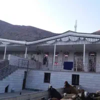 شیروانی کرم نژاد