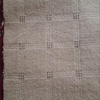 موکت پالاز ۶۰ متر ۳۵۰