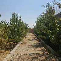 فروش باغ 900 متری اصفهان/خمینی شهر/نجف اباد|فروش زمین و ملک کلنگی|نجف‌آباد, گلدشت|دیوار