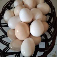 تخم مرغ  محلی تازه