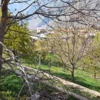 زمین متراژ دلخواه داخل بافت|فروش زمین و ملک کلنگی|گزنک, |دیوار