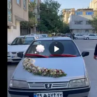 ۴۰۵سرقت شده