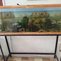 اکواریوم