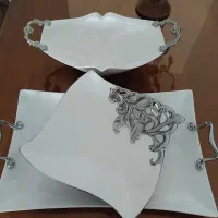 ظروف چینی