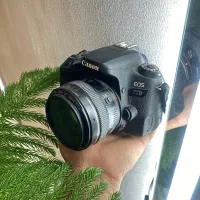 دوربین Canon EOS 77D|دوربین عکاسی و فیلم‌برداری|شیراز, شهرک برف فروشان|دیوار