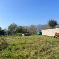 فروش-500متری-زمین-مسکونی-منطقه-خاص