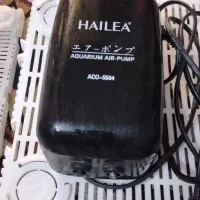 لوازم آکواریوم