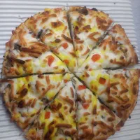 استخدام پیک موتوری