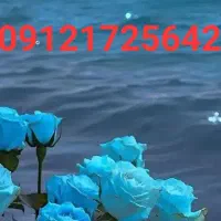 سیم کارت کد ۱